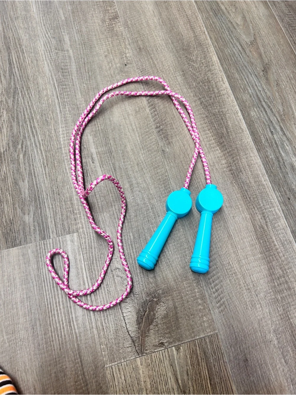 Disney Pink and Blue Jump Rope